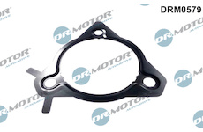 Těsnění, vstřikovací čerpadlo Dr.Motor Automotive DRM0579