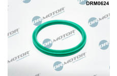 Tesnici krouzek, hadice plniciho vzduchu Dr.Motor Automotive DRM0624