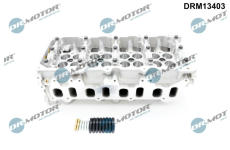 Hlava valcov motora Dr.Motor Automotive DRM13403