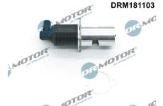 AGR-Ventil Dr.Motor Automotive DRM181103