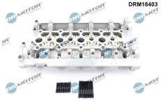 Hlava valcov motora Dr.Motor Automotive DRM18403