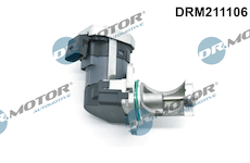 AGR-Ventil Dr.Motor Automotive DRM211106