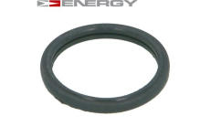 Těsnění, termostat ENERGY 90096383
