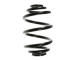 Pružina podvozku SPIDAN 55087