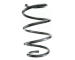 Pružina podvozku SPIDAN GKNW10030