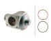 AGR-Ventil HELLA 6NU 010 171-921