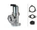 AGR-Ventil HELLA 6NU 010 171-951