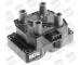 Zapalovací cívka BorgWarner (BERU) ZS233
