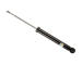 Tlumič pérování BILSTEIN 19-227832