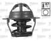Termostat, chladivo VALEO 820262