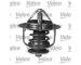 Termostat, chladivo VALEO 820944