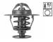 Termostat, chladivo VALEO 820073
