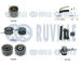 Vodní pumpa + sada ozubeného řemene RUVILLE 5505081