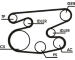 Sada žebrovaných klínových řemenů CONTINENTAL CTAM 6PK2215D1