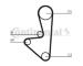 ozubení,sada rozvodového řemene CONTINENTAL CTAM CT718K2