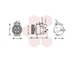 Kompresor, klimatizace VAN WEZEL 0300K263