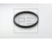 Distancni krouzek PE Automotive 046.099-00A