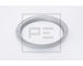 Snímací kroužek, ABS PE Automotive 106.207-20A