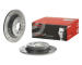 Brzdový kotúč BREMBO 08.7765.75