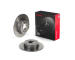 Brzdový kotouč BREMBO 08.9502.11