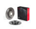 Brzdový kotouč BREMBO 08.D249.1X