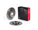 Brzdový kotouč BREMBO 08.D883.1X
