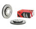 Brzdový kotúč BREMBO 09.5196.1X