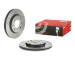 Brzdový kotúč BREMBO 09.5196.75