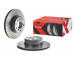 Brzdový kotúč BREMBO 09.6924.1X