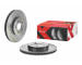Brzdový kotouč BREMBO 09.8665.1X