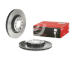 Brzdový kotúč BREMBO 09.9366.21