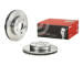 Brzdový kotouč BREMBO 09.A130.10