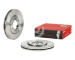 Brzdový kotúč BREMBO 09.A302.10