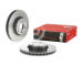 Brzdový kotúč BREMBO 09.A621.11
