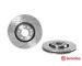 Brzdový kotouč BREMBO 09.A813.10