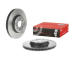 Brzdový kotúč BREMBO 09.A820.11