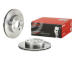 Brzdový kotouč BREMBO 09.A919.10