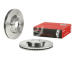 Brzdový kotúč BREMBO 09.B266.10