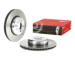 Brzdový kotouč BREMBO 09.C399.13