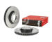 Brzdový kotouč BREMBO 09.C549.21