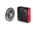 Brzdový kotouč BREMBO 09.C665.1X