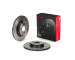 Brzdový kotúč BREMBO 09.D175.21
