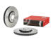 Brzdový kotouč BREMBO 09.D179.11