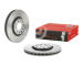Brzdový kotouč BREMBO 09.D209.11