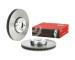 Brzdový kotúč BREMBO 09.D896.13