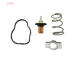 Termostat, chladivo DENSO DTM831056