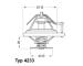 Termostat, chladivo BorgWarner (Wahler) 4233.84D