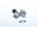 AGR-Ventil BorgWarner (Wahler) 710973R