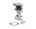 AGR-Ventil BorgWarner (Wahler) 710976D