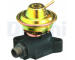 AGR-Ventil DELPHI EG10180-12B1